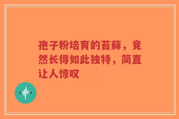 孢子粉培育的苔藓，竟然长得如此独特，简直让人惊叹-第1张图片-超越