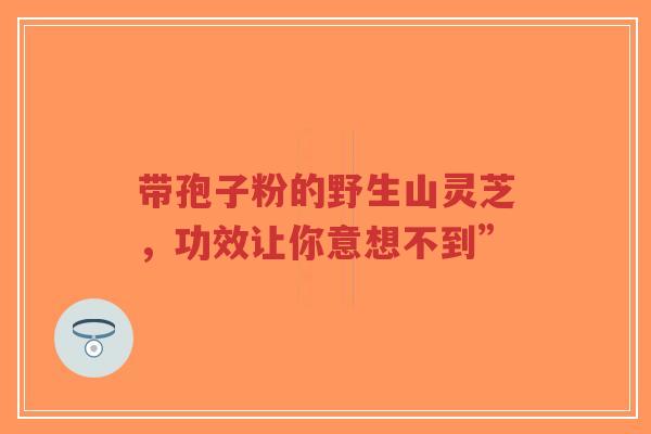 带孢子粉的野生山灵芝，功效让你意想不到”-第1张图片-超越