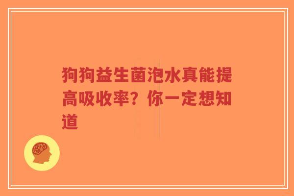 狗狗益生菌泡水真能提高吸收率？你一定想知道-第1张图片-超越