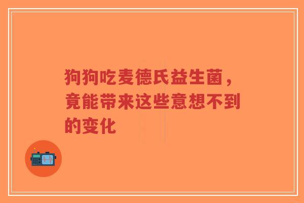 狗狗吃麦德氏益生菌，竟能带来这些意想不到的变化-第1张图片-超越