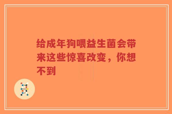 给成年狗喂益生菌会带来这些惊喜改变，你想不到-第1张图片-超越