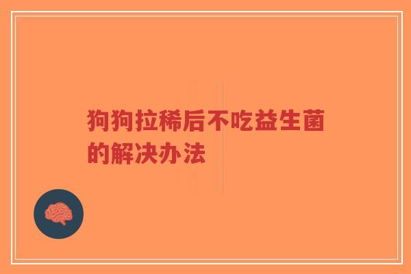 狗狗拉稀后不吃益生菌的解决办法-第1张图片-超越