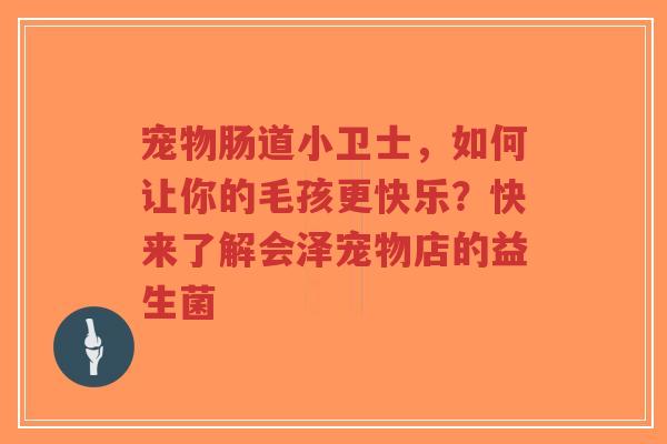 宠物肠道小卫士，如何让你的毛孩更快乐？快来了解会泽宠物店的益生菌-第1张图片-超越