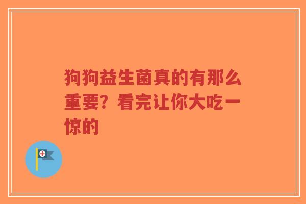 狗狗益生菌真的有那么重要？看完让你大吃一惊的-第1张图片-超越