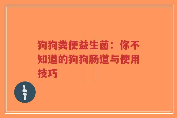狗狗粪便益生菌：你不知道的狗狗肠道与使用技巧-第1张图片-超越