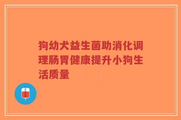 狗幼犬益生菌助消化调理肠胃健康提升小狗生活质量-第1张图片-超越
