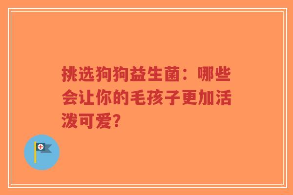 挑选狗狗益生菌：哪些会让你的毛孩子更加活泼可爱？-第1张图片-超越