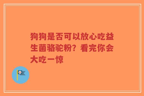 狗狗是否可以放心吃益生菌骆驼粉？看完你会大吃一惊-第1张图片-超越