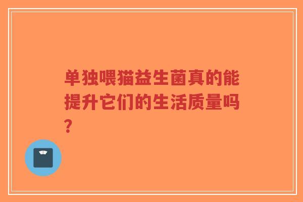 单独喂猫益生菌真的能提升它们的生活质量吗？-第1张图片-超越