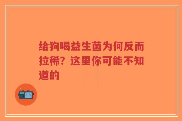 给狗喝益生菌为何反而拉稀？这里你可能不知道的-第1张图片-超越