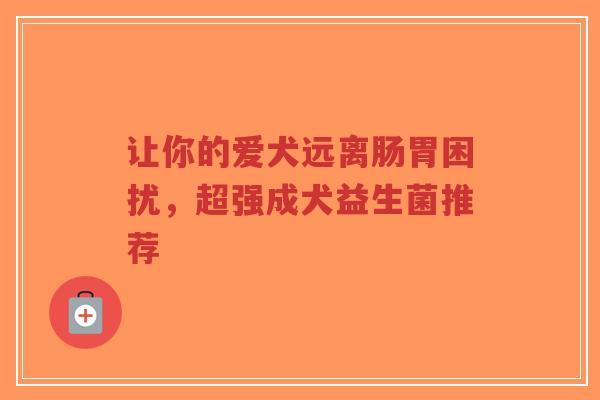 让你的爱犬远离肠胃困扰，超强成犬益生菌推荐-第1张图片-超越
