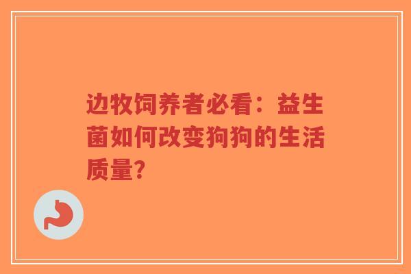 边牧饲养者必看：益生菌如何改变狗狗的生活质量？-第1张图片-超越